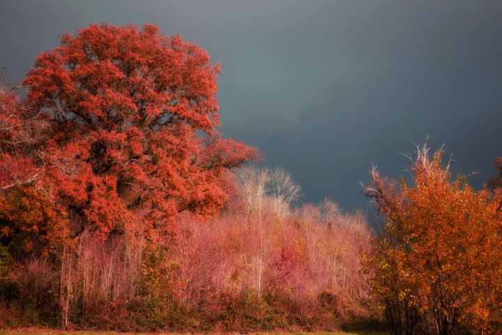 Stormy Autumn - Christine56