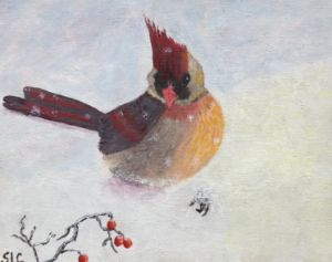 Lady Cardinal in Snow