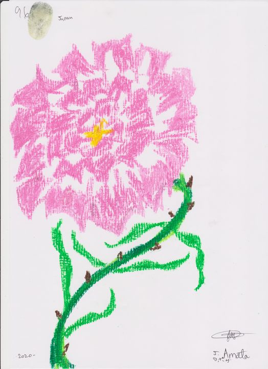 rose 96 - amata janilon