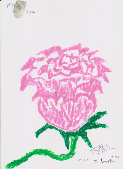 rose 73 - amata janilon