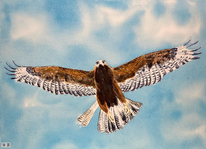 Galapagos Hawk, watercolor - Rick Spates - Paintings & Prints, Animals ...