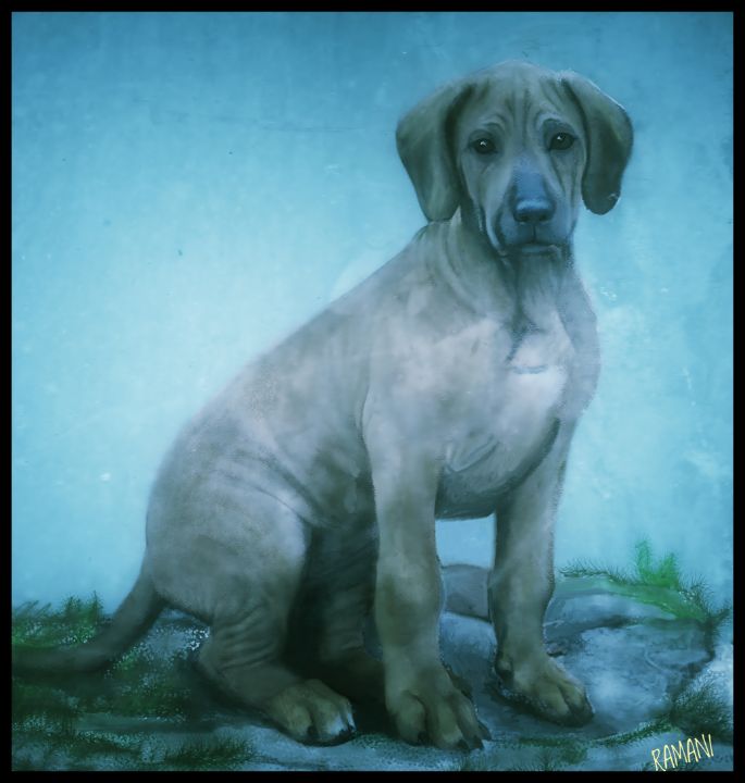 Avatar For Ridgeback 1Young guardian- Ridgeback puppy - Art by Diana Urbiztondo aka RAMANI ...