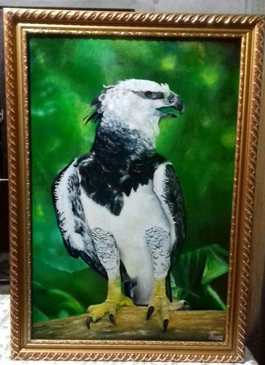 Harpy Eagle - Harpy Eagle - Posters and Art Prints