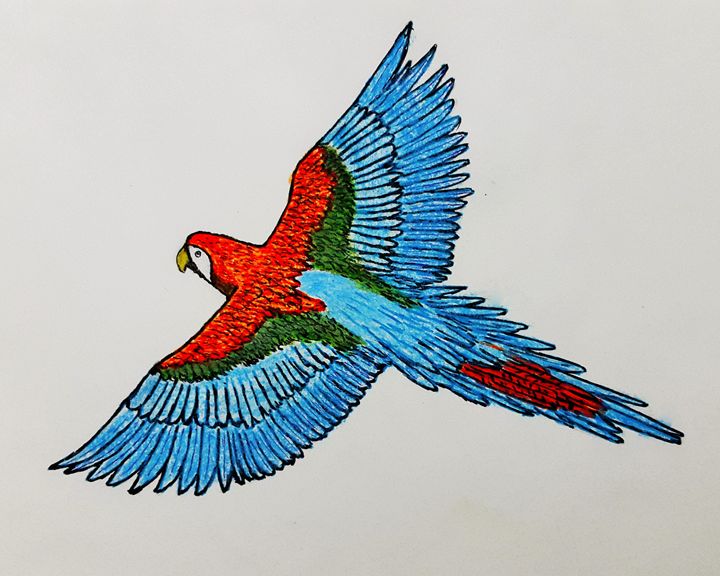 Flying Colorful Birds Drawing - Mundodop
