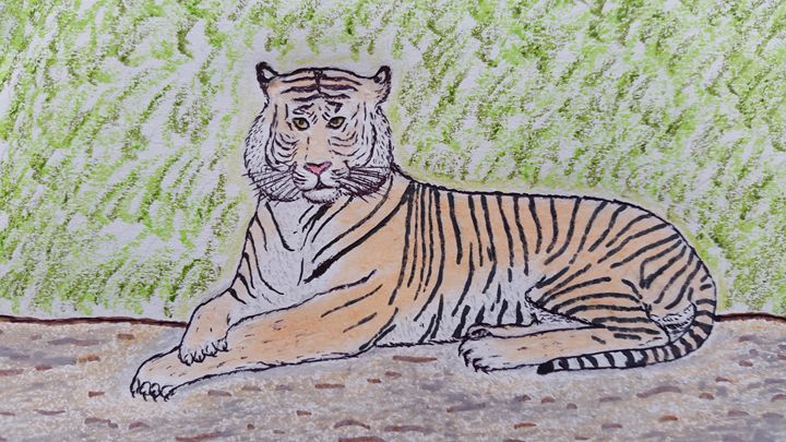 UNFINISHED BUSINESS - Original Tiger Drawing - Mixed Media (acrylic paint &  pencil)