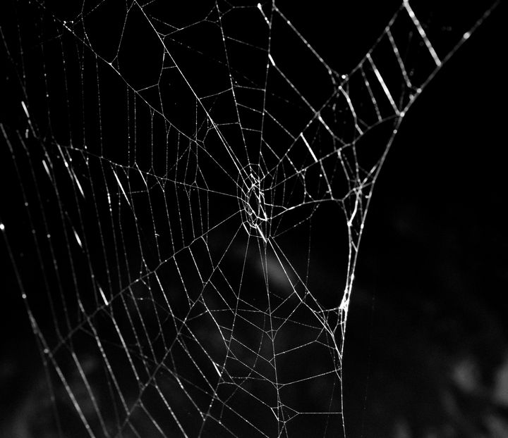 Spooky silver spiderweb - Jennifer Wallace