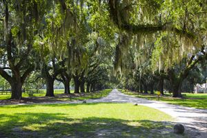 Entrance to Boone Plantation