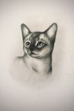 Original Drawing