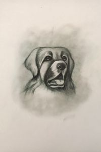 Sketching - Hellenic Shepherd