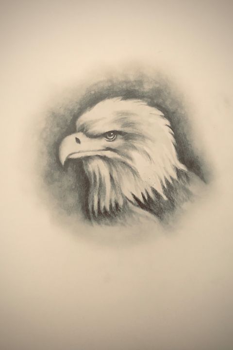 Vector of an Eagle Head Design on White Background. Bird. Wild Animals  Stock Vector - Illustration of design, beak: 157714989
