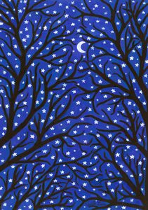 The Starlight Woods