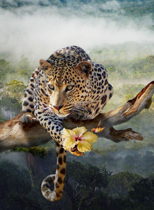 The Yellow Panther Antal Goldfinger Photography Animals Birds the-yellow-panther-antal-goldfinger-photography-animals-birds