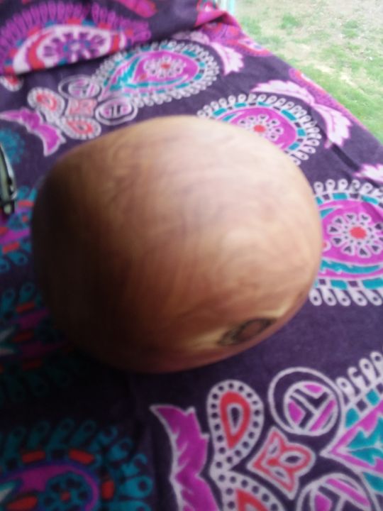 Cedar Egg-orb - UFITFO