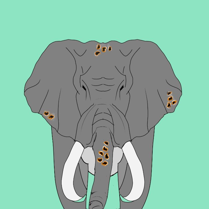 Baby Elephants Playing - Mohit184 - Digital Art, Animals, Birds, & Fish,  Elephants - ArtPal