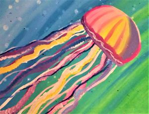 Rainbow Jellyfish