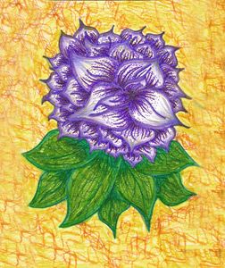 Elegant Flower