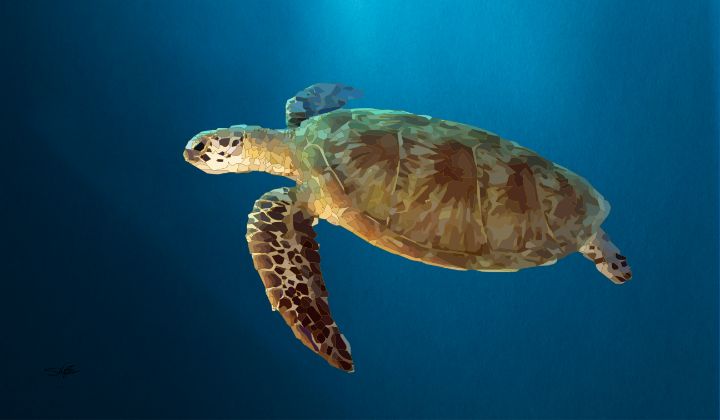 Aussie Loggerhead - shaffer - Digital Art & AI, Animals, Birds, & Fish ...