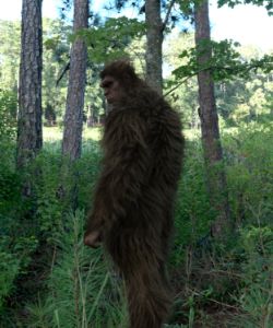 Bigfoot in the Forest - Thomas Hauser