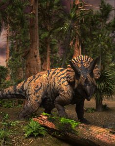 アート・デザイン・音楽 DINOSAUR DREAMS アート・デザイン・音楽 DINOSAUR DREAMS Dinosaur Dreams