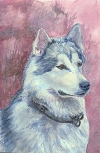 Siberian Husky watercolor print