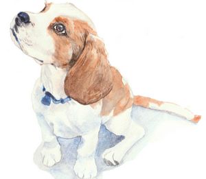 Beagle puppy in watercolor