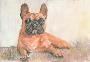 French Bulldog from watercolor