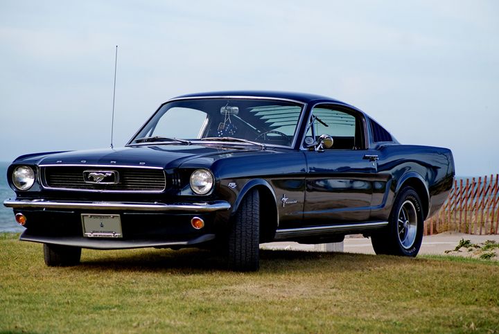 Mustang Fastback - Turner Photography
