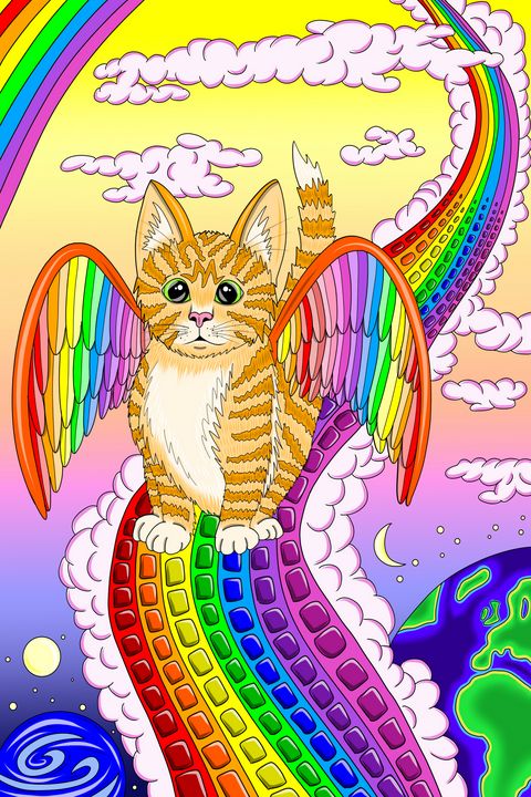 Rainbow bridge kitten - Melanie Jeyakkumar - Digital Art, Animals, Birds, &  Fish, Cats & Kittens, Non-Pedigreed Cats, Tabby Cat - ArtPal