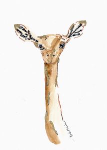 Gerenuk