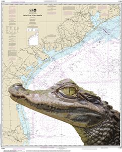Galveston to Rio Grande