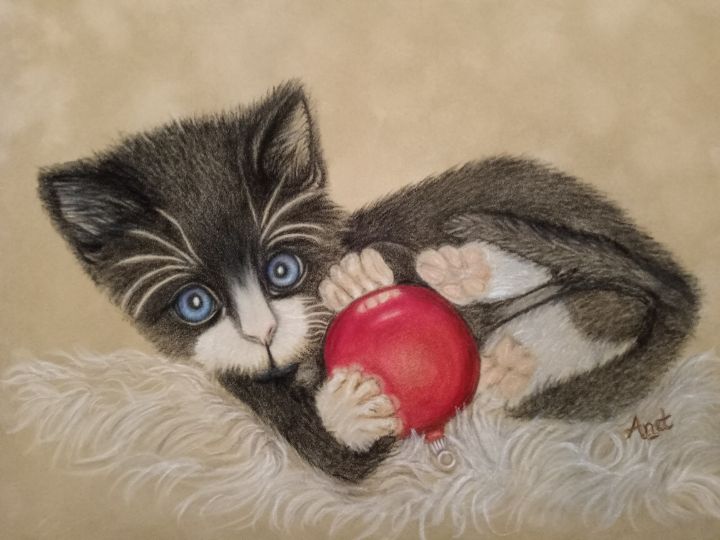 Mittens - Pet Portraits By Anet