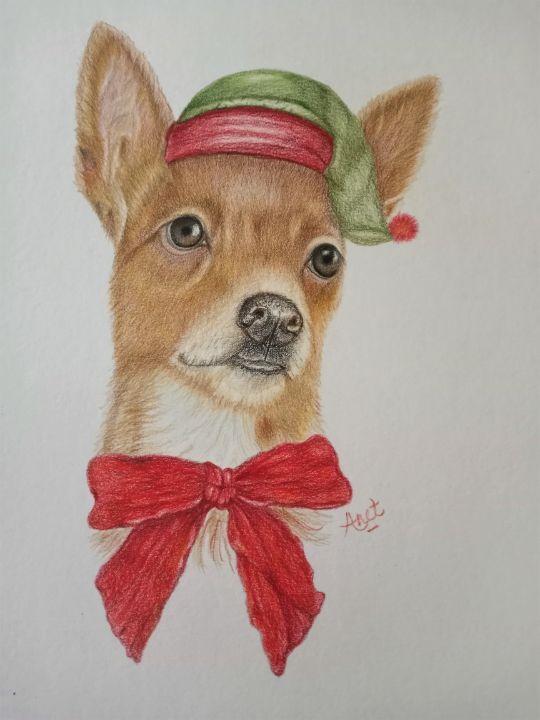 A Christmas Chihuahua - Pet Portraits By Anet