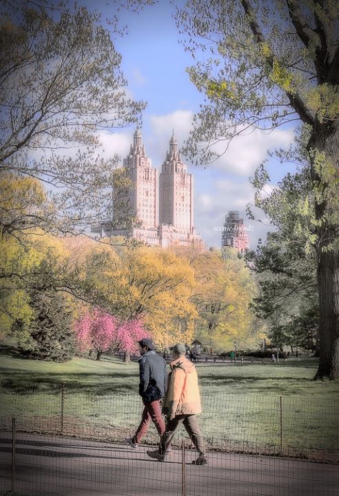 Central Park Morning walk (Sam Reno) - Scenic Trendz - Photography ...