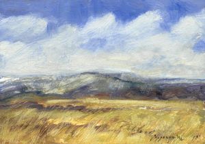 "Gusty Day"