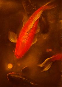 Red koi & gold coin