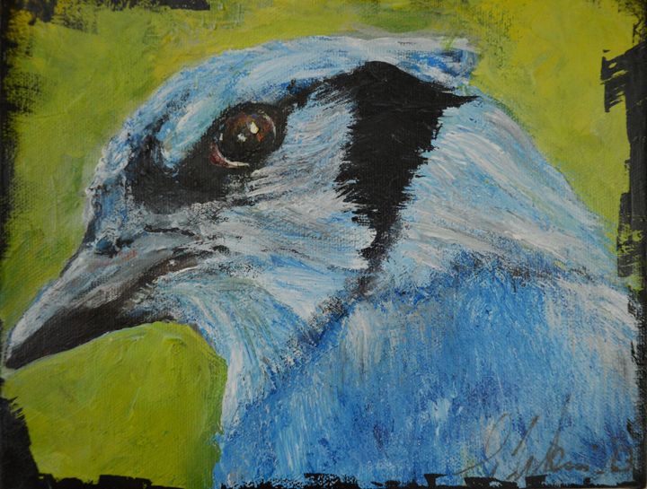 The Blue Jay - Timeless Art On Canvas