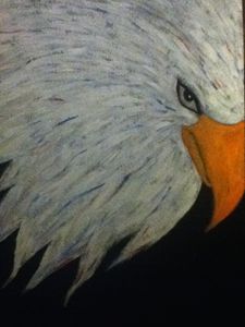 Patriotic bald eagle