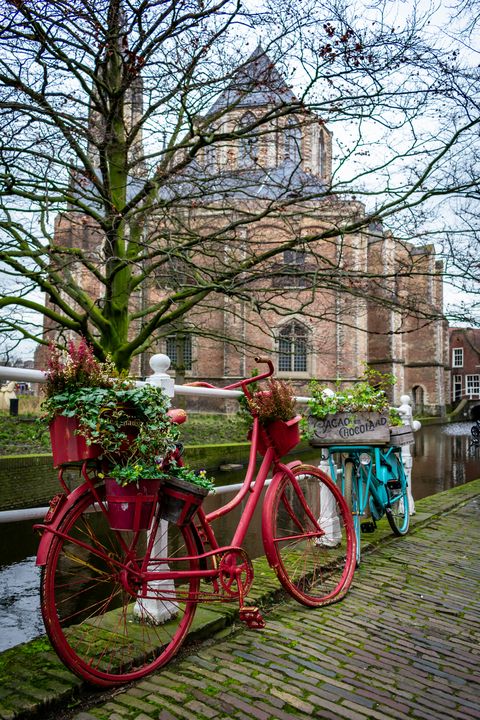 Pictures of store bicycles with flowers