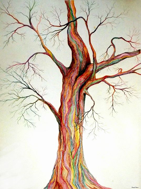 Pencil drawing program | Color pencil drawing, Color pencil art, Tree  drawing
