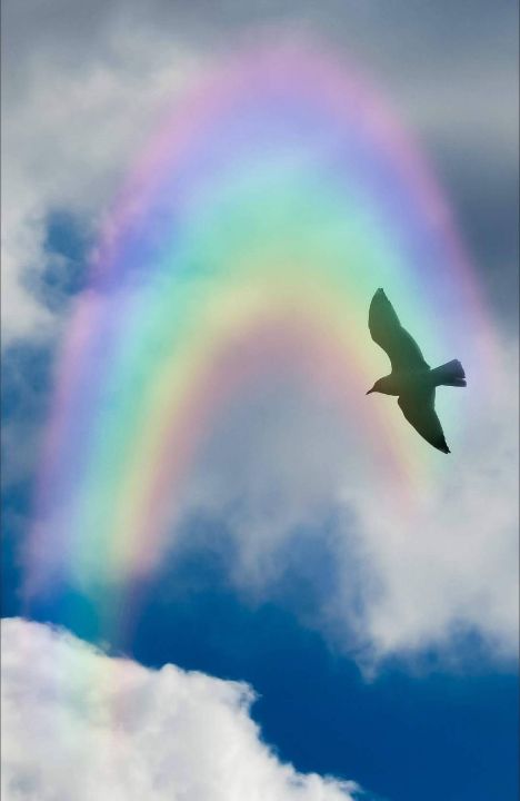 Flying Through A Rainbow - Kat Gail Art Photography