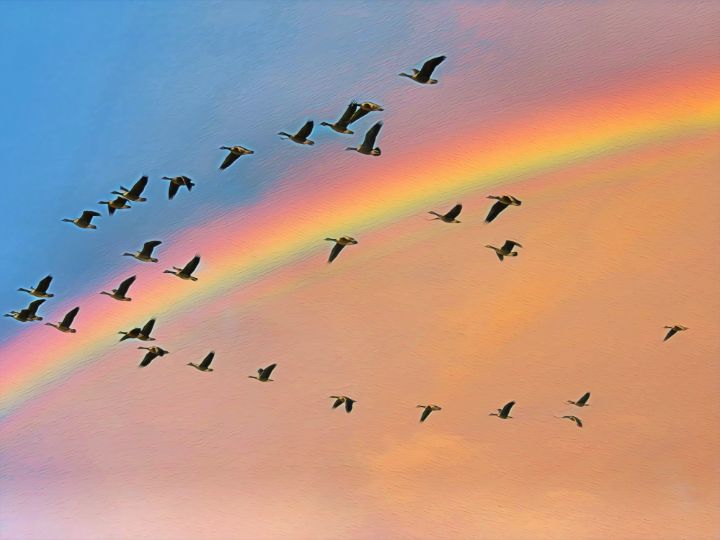 Birds Fly Over The Rainbow - Kat Gail Art Photography