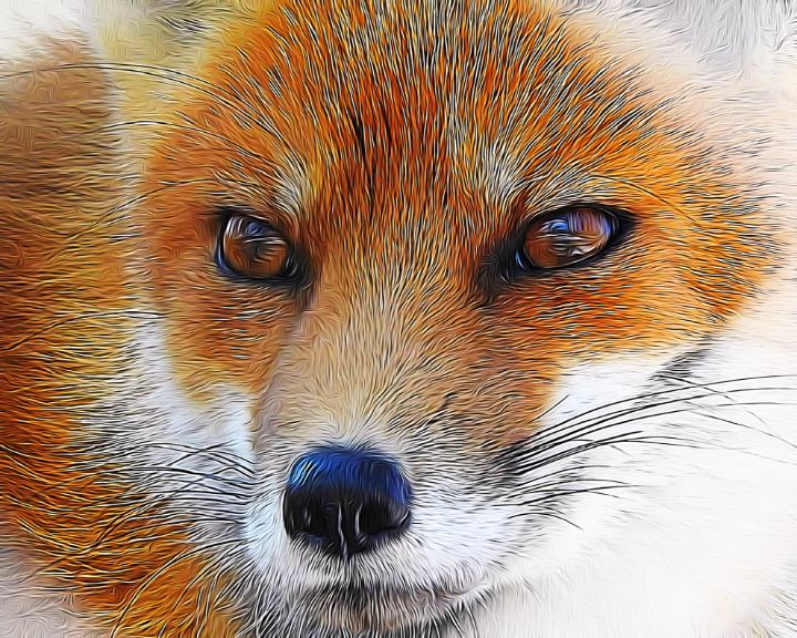 Furry Red Foxy - Kat Gail Art Photography