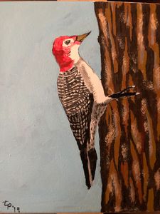 Woodpecker in action