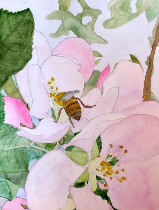 Apple Blossoms - Emma Squire