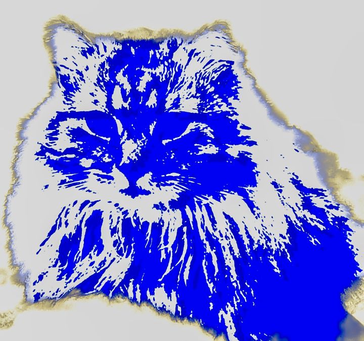Blue Cat - The Adhizen