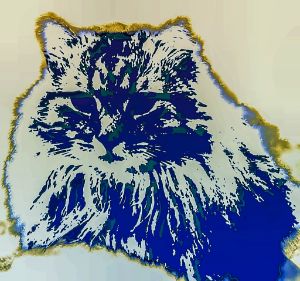Blue Cat #2