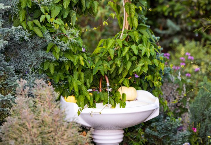 Mirror and Sink in the Garden - Amelia Painter Photography