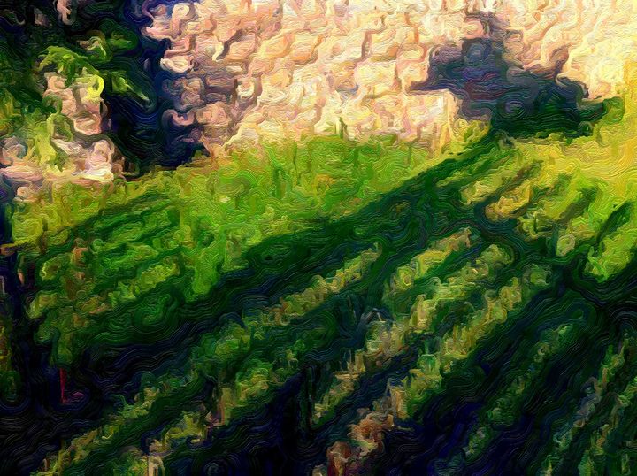 Shadow Fence - MAK