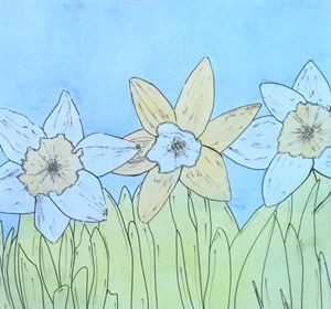 Daffies