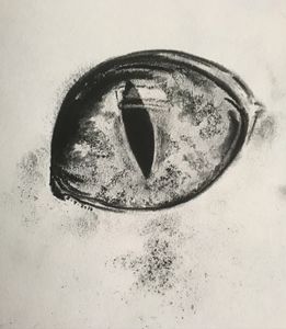 Dragons' Eye